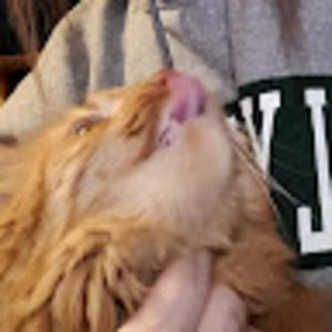 Meet your Posher, Nevaeh